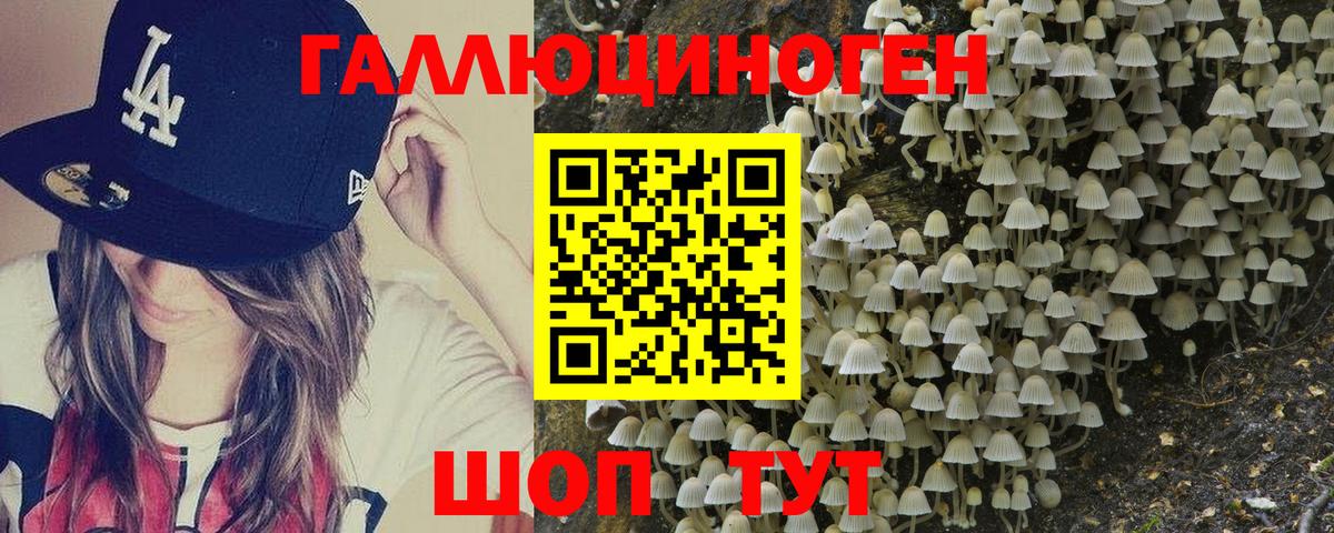 купить наркотики цена  Вход с VPN  Сунжа  Псилоцибиновые грибы мухоморы 